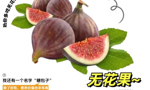 三叶青藤的功效与作用及禁忌-三叶青藤的食用方法、三叶青藤的功效与作用是什么 -三叶青藤的功效与作用网