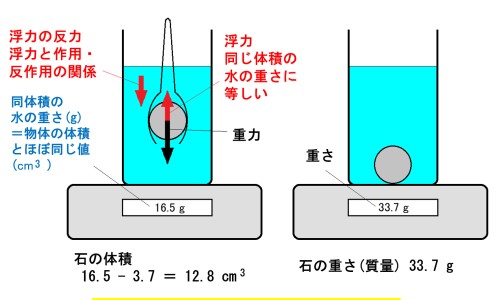 三叶青藤的功效与作用及禁忌-三叶青藤的食用方法、三叶青藤的功效与作用是什么 -三叶青藤的功效与作用网