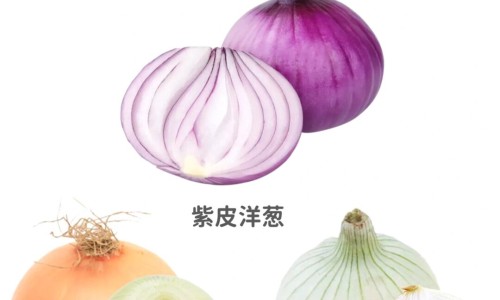 三叶青藤的食用方法、三叶青藤的功效与作用是什么 -三叶青藤的功效与作用网