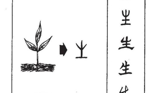 三叶青藤的功效与作用及禁忌-三叶青藤的食用方法、三叶青藤的功效与作用是什么 -三叶青藤的功效与作用网