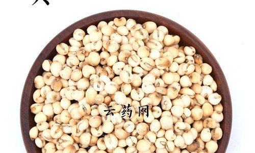 三叶青藤的食用方法、三叶青藤的功效与作用是什么 -三叶青藤的功效与作用网